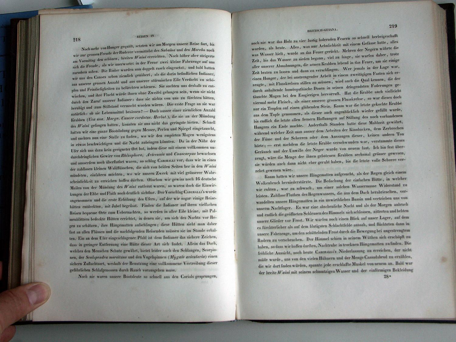 ZZ-RISC47,S.218 Rio Waini